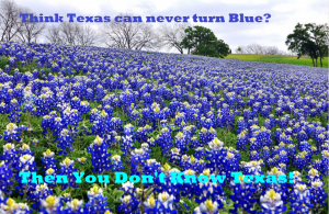 Turn Texas Blue