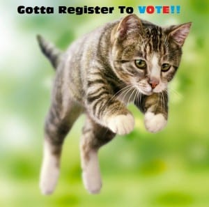 voter reg