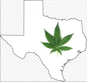 Pot Texas
