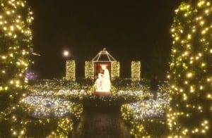 Bayou Bend Xmas